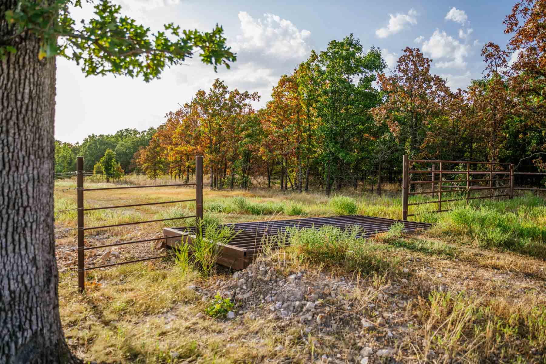 Grant Ranch property picture 59 of 78