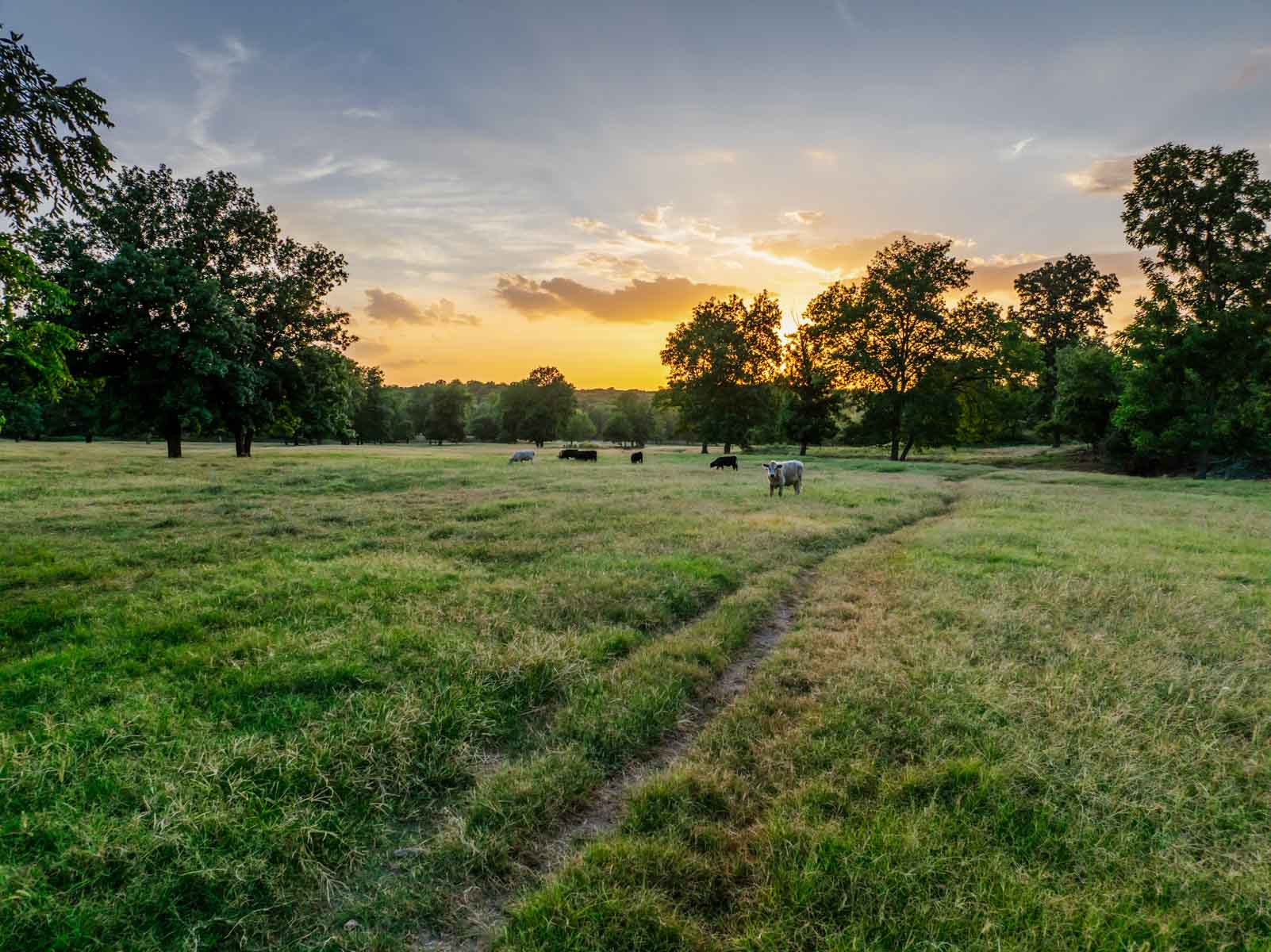 Grant Ranch property picture 30 of 78