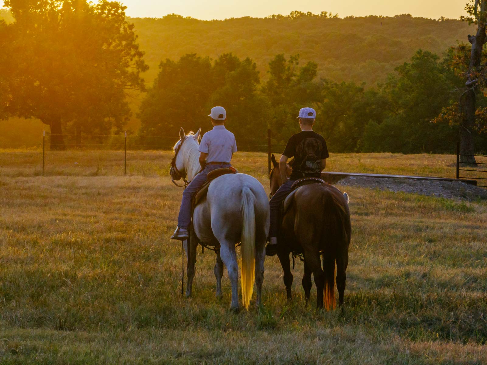 Grant Ranch property picture 25 of 78