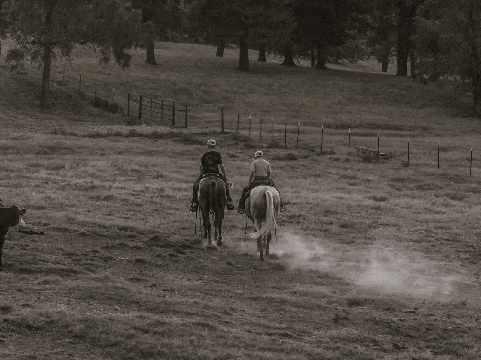 Grant Ranch property picture 22 of 78
