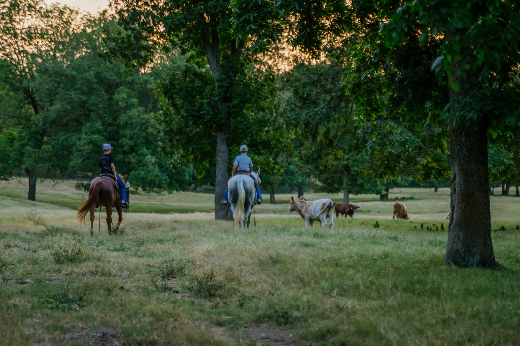 Grant Ranch property picture 65 of 78