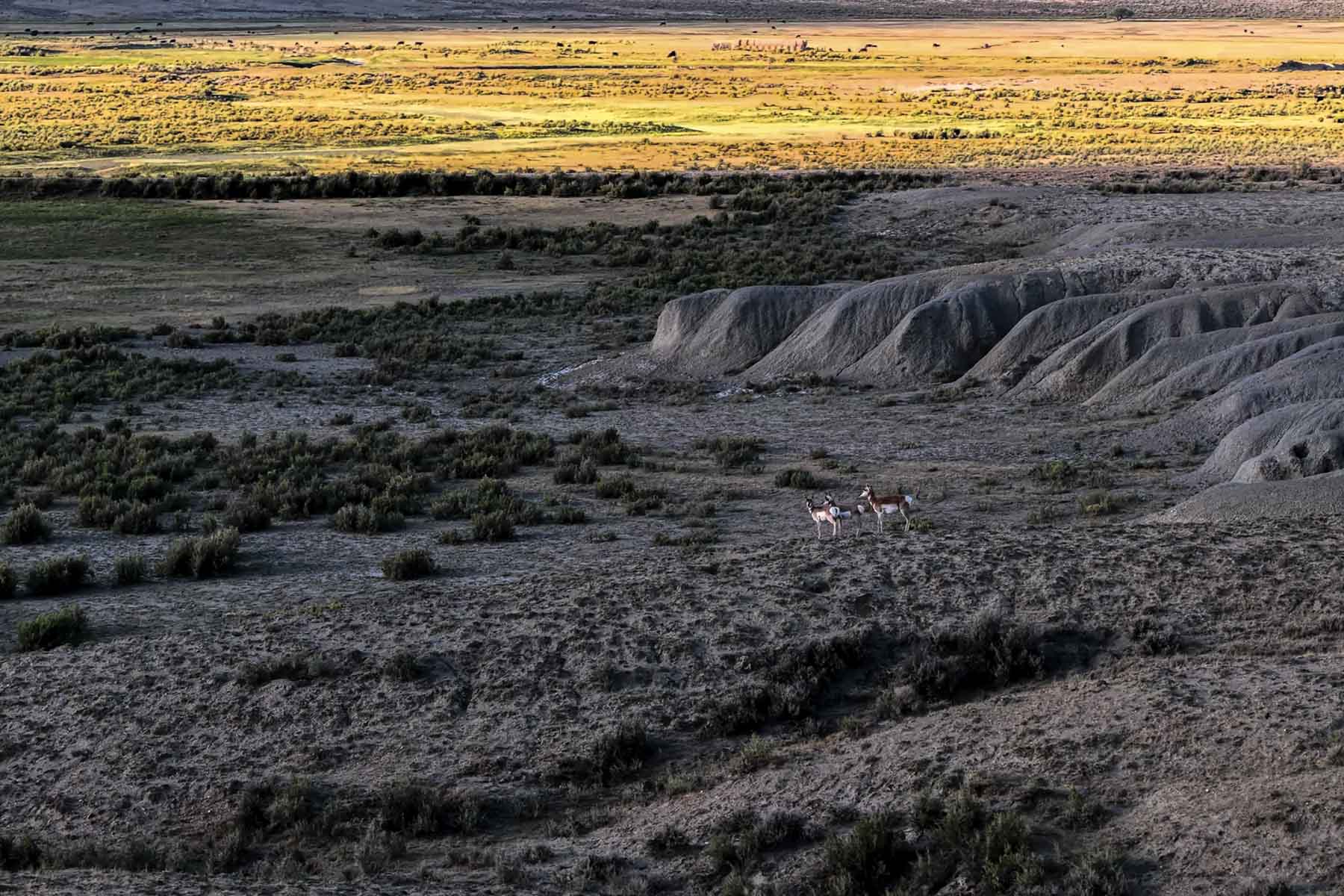 RC Ranch property picture 47 of 48