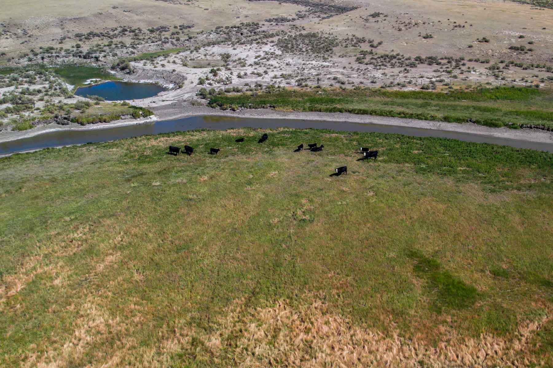 RC Ranch property picture 43 of 48