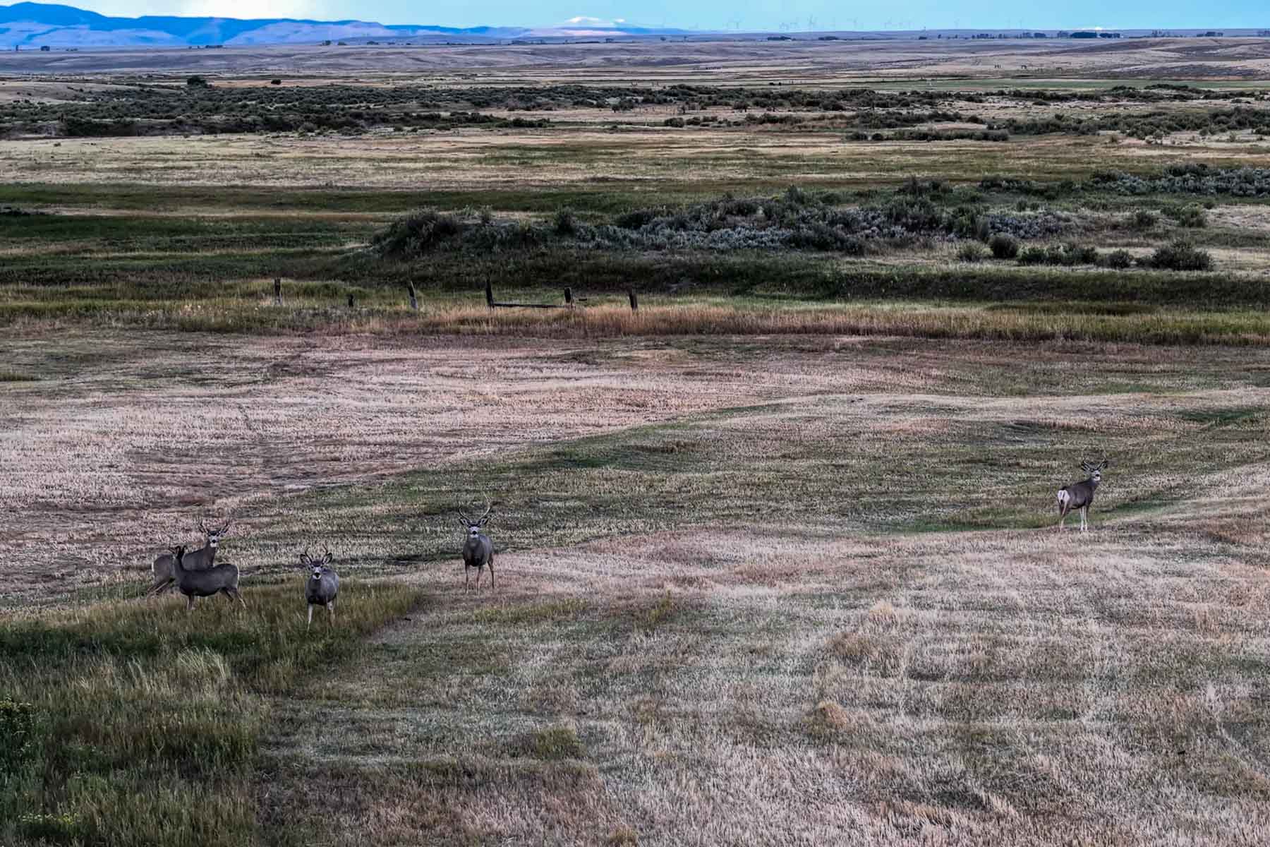 RC Ranch property picture 39 of 48