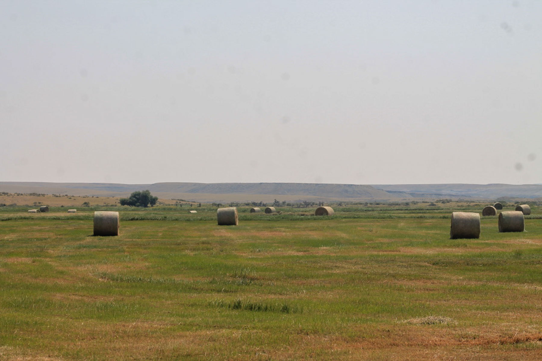 RC Ranch property picture 11 of 48