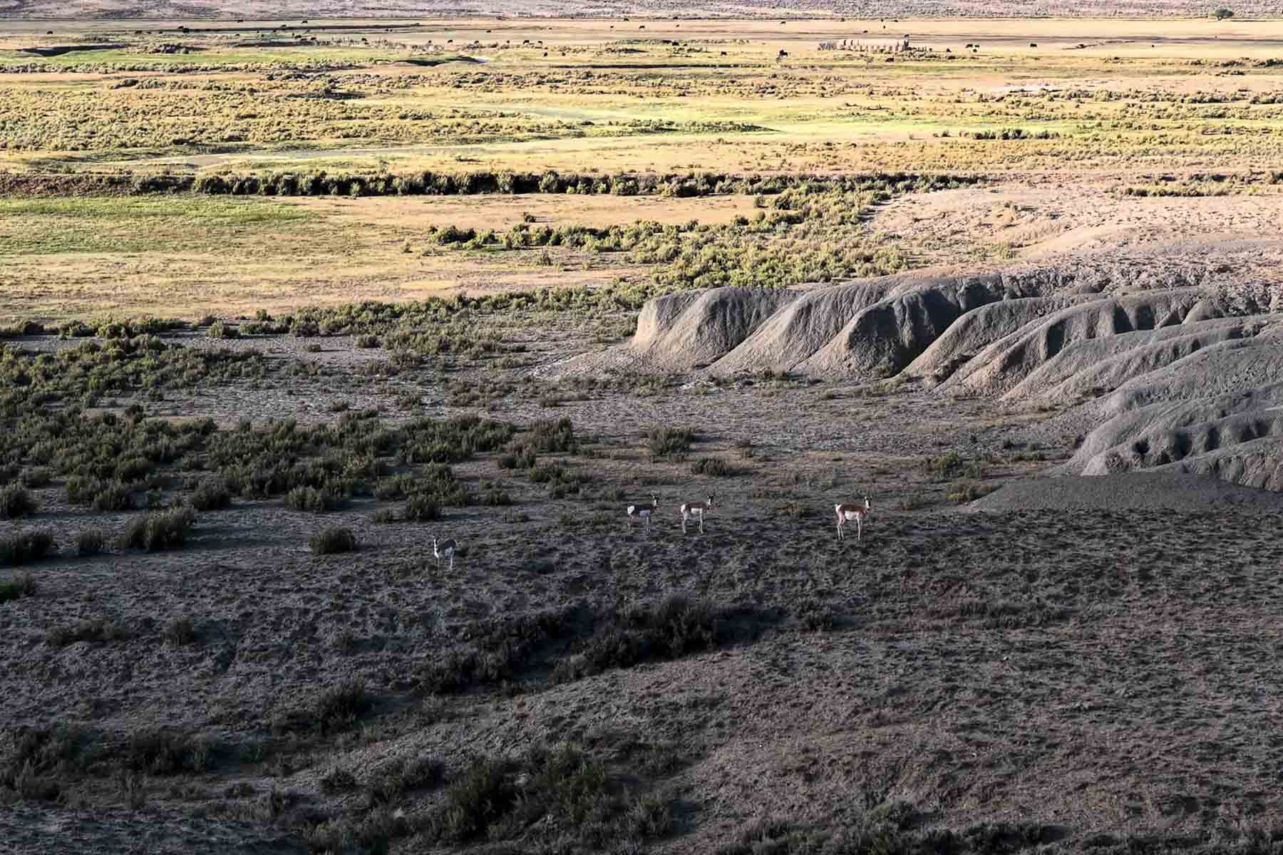 RC Ranch property picture 30 of 48