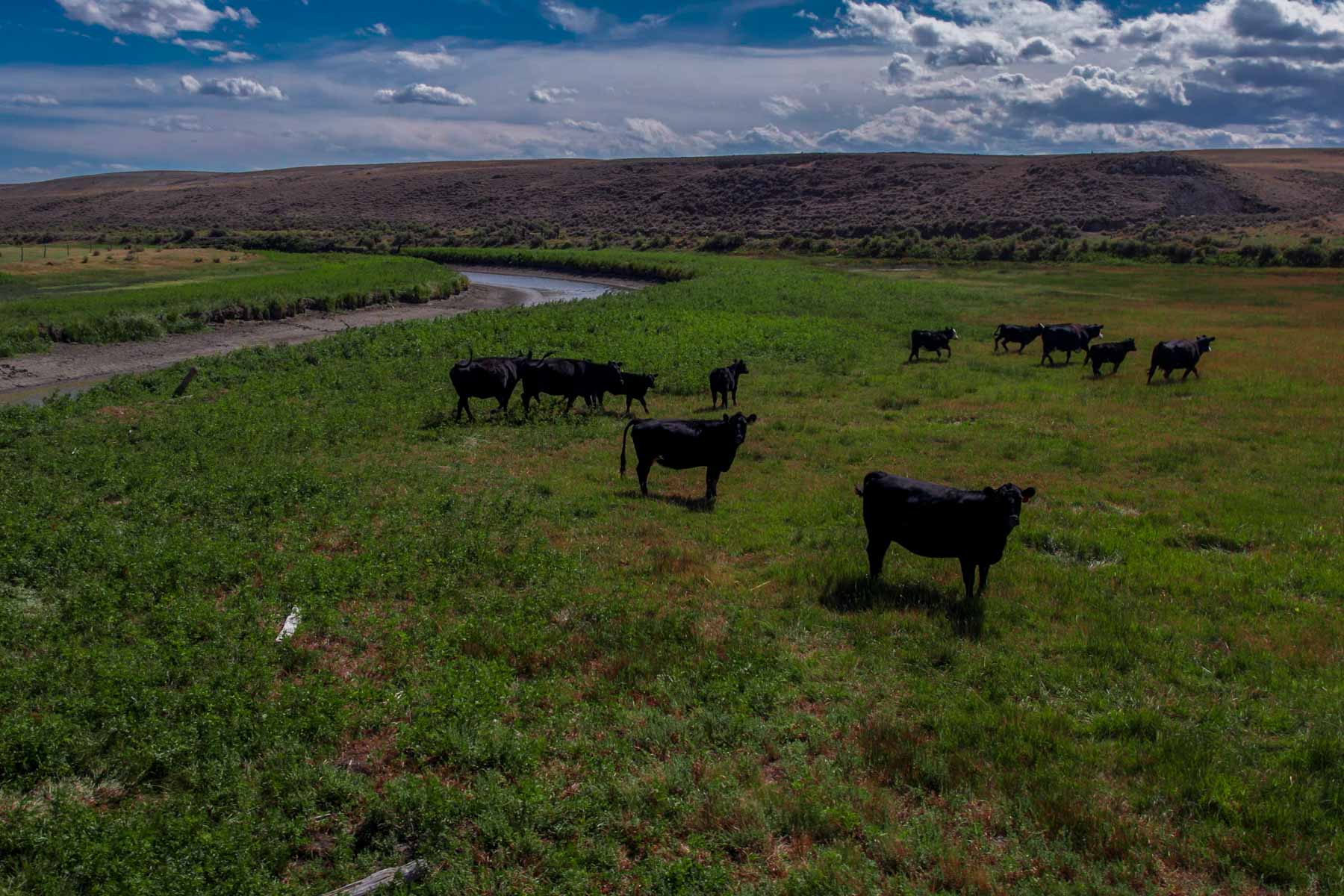 RC Ranch property picture 10 of 48