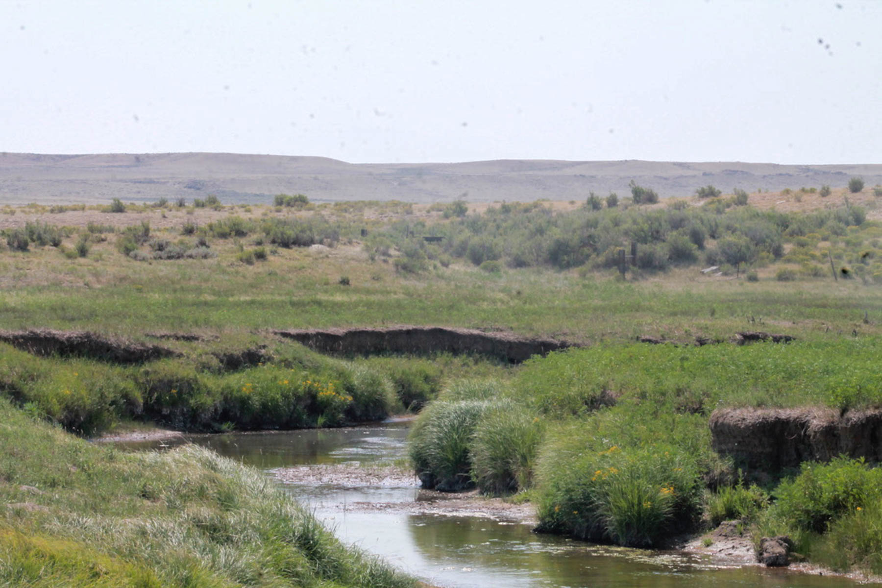 RC Ranch property picture 13 of 48