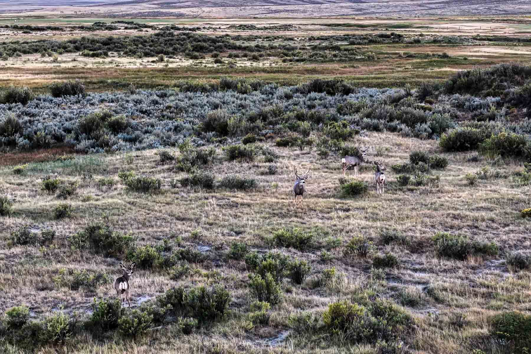 RC Ranch property picture 41 of 48