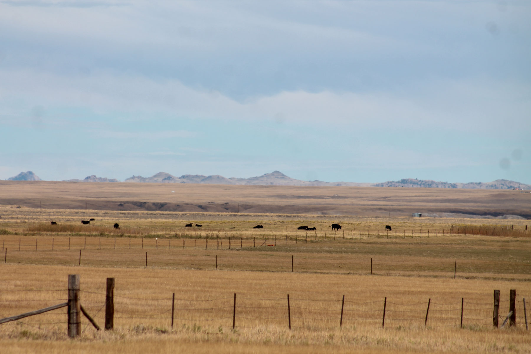 RC Ranch property picture 16 of 48