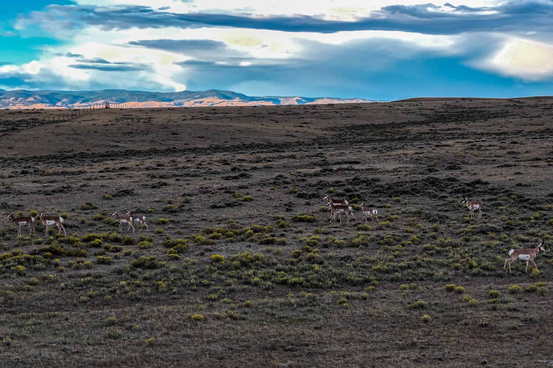 RC Ranch property picture 44 of 48