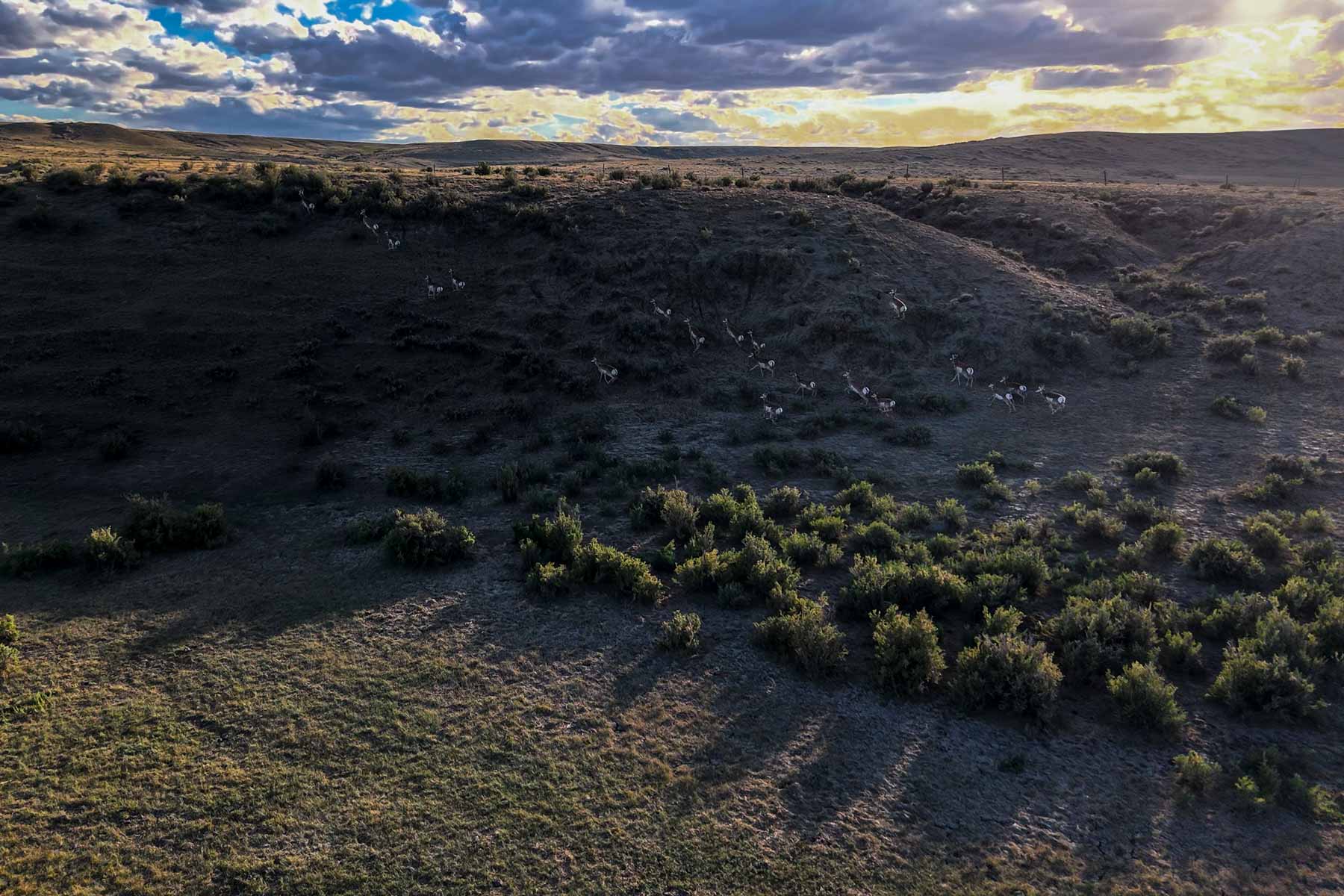 RC Ranch property picture 45 of 48