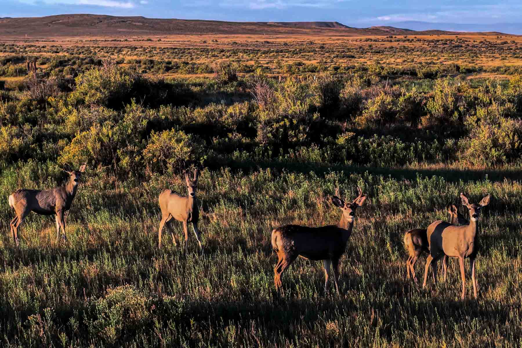 RC Ranch property picture 38 of 48