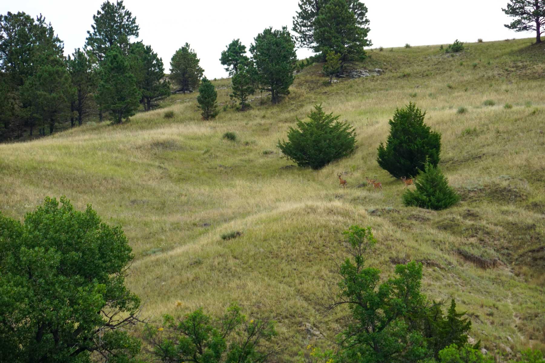 Niobrara River Irrigation & Grass Ranch property picture 54 of 70