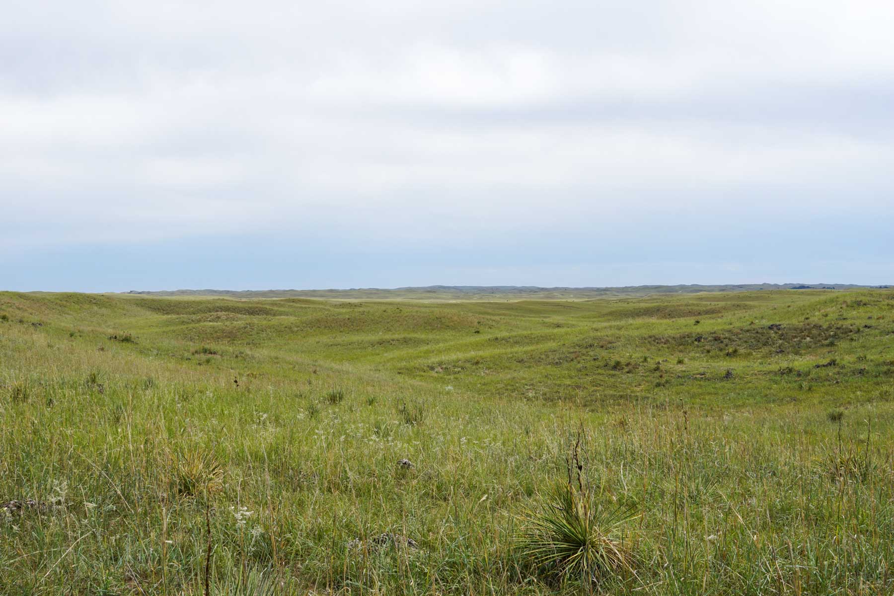 Niobrara River Irrigation & Grass Ranch property picture 45 of 70