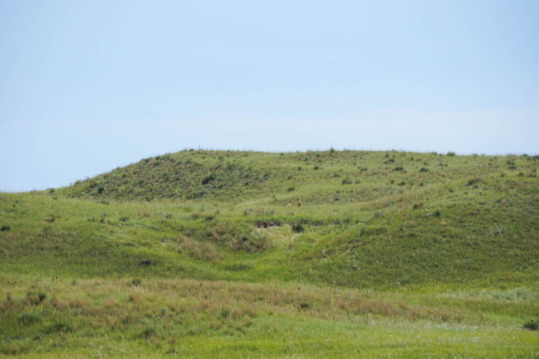 Niobrara River Irrigation & Grass Ranch property picture 42 of 70