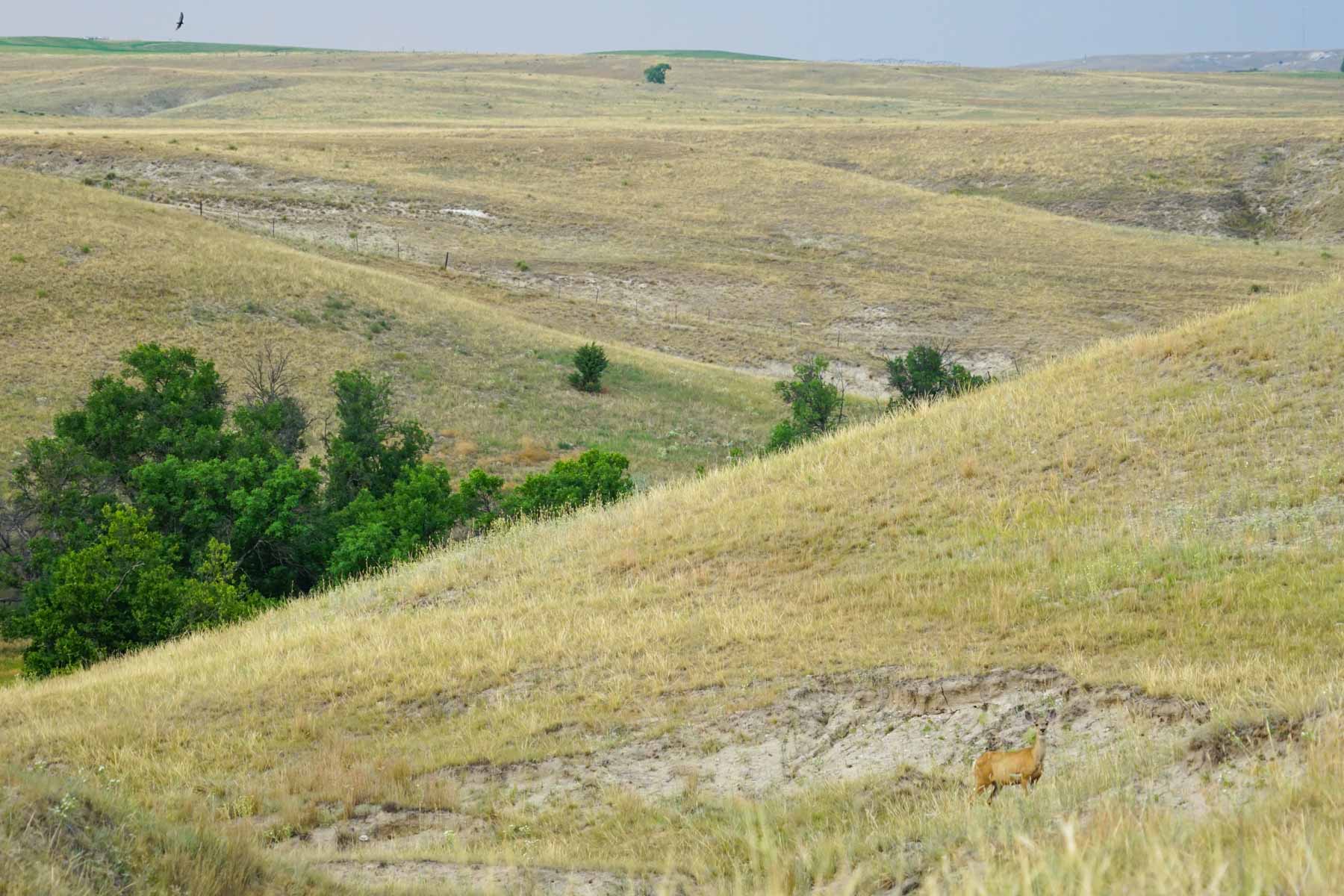 Niobrara River Irrigation & Grass Ranch property picture 33 of 70