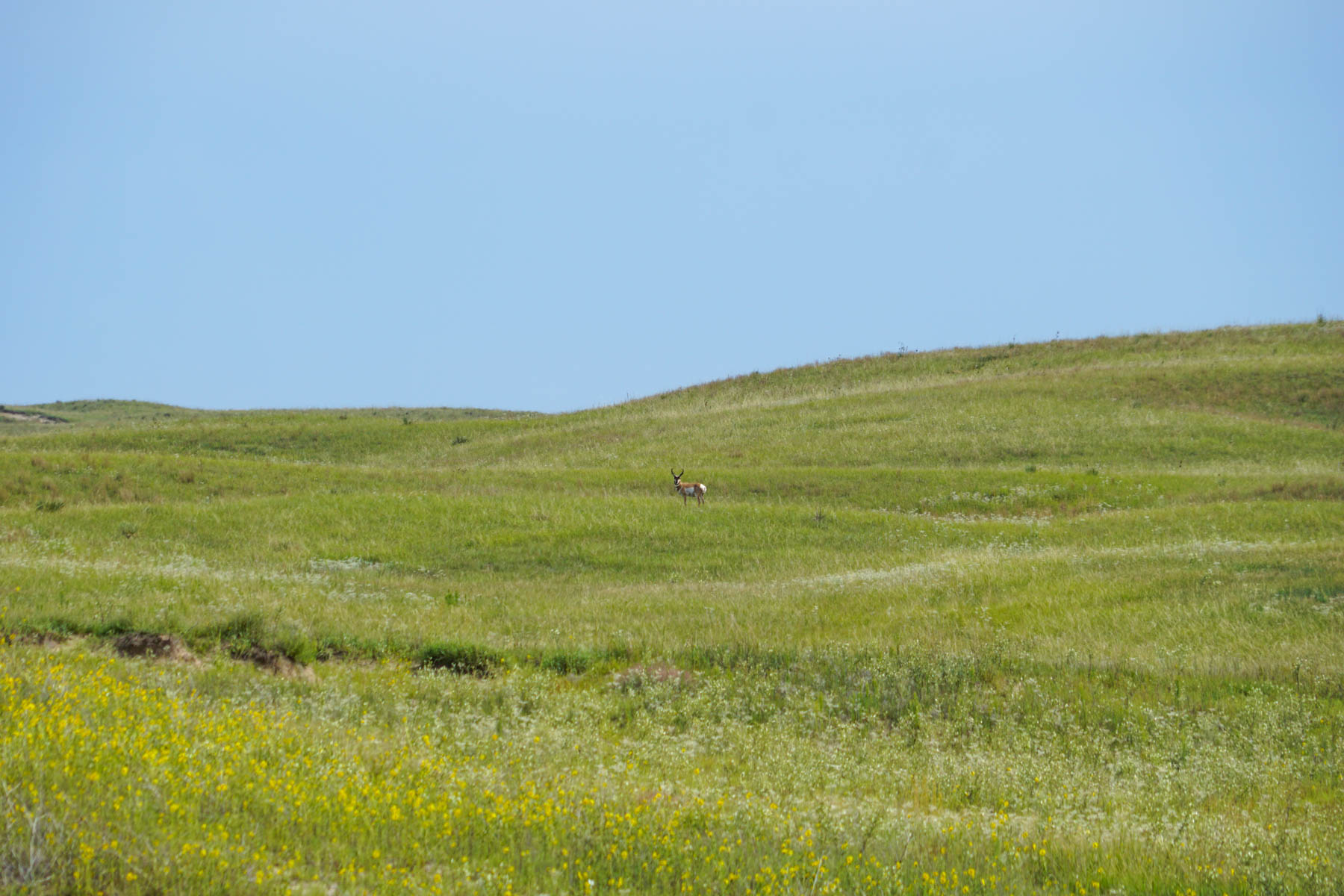 Niobrara River Irrigation & Grass Ranch property picture 52 of 70