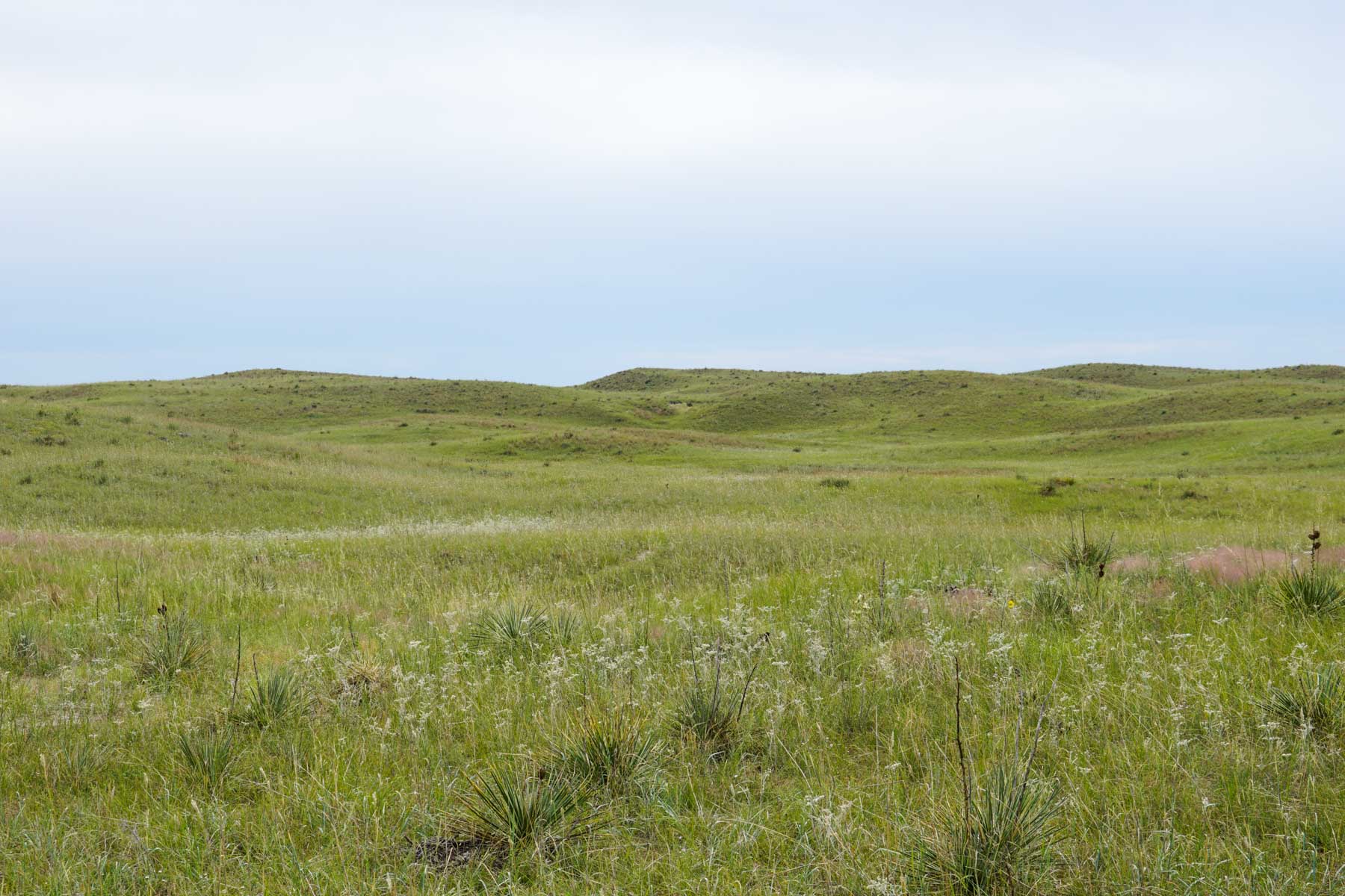 Niobrara River Irrigation & Grass Ranch property picture 43 of 70