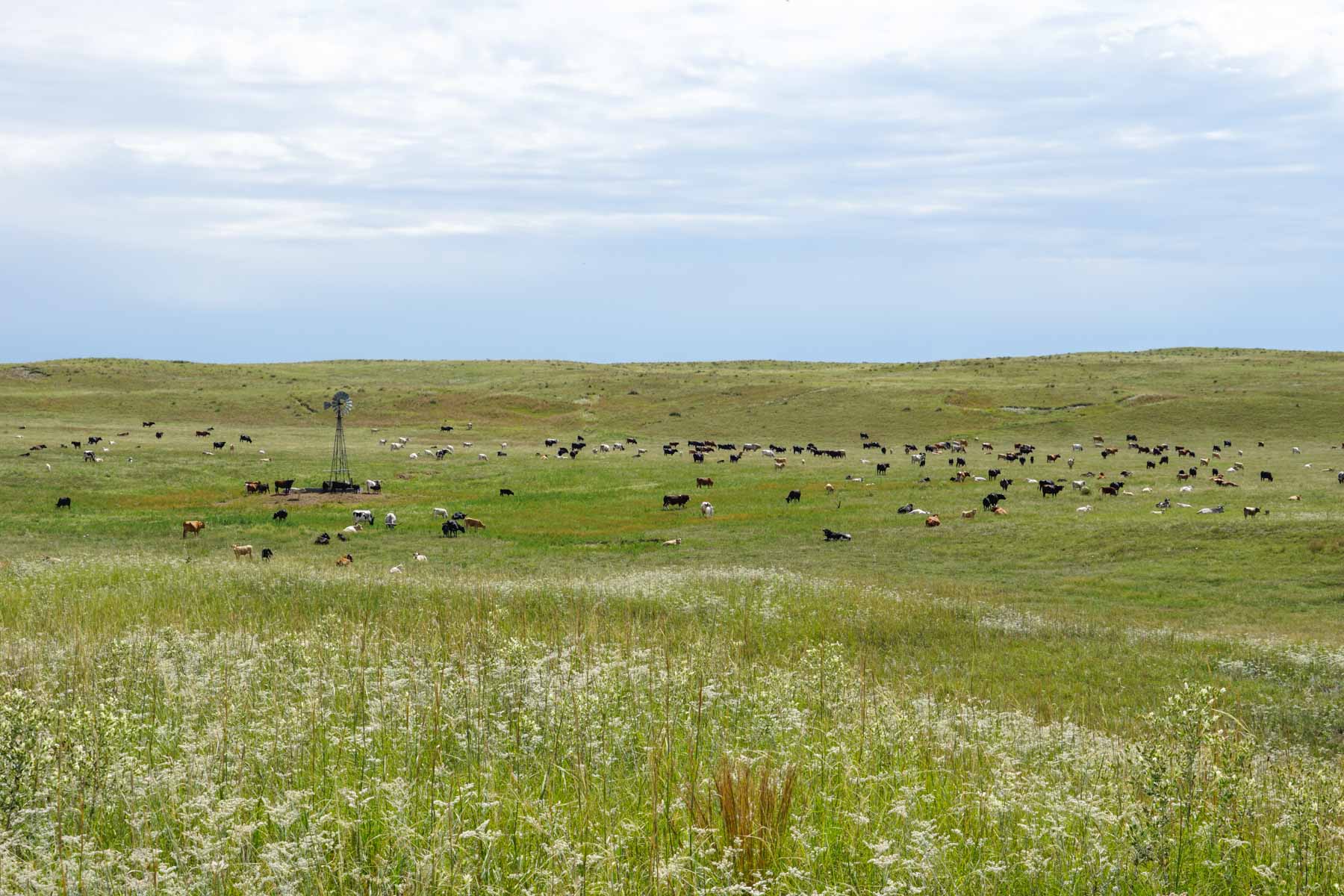 Niobrara River Irrigation & Grass Ranch property picture 11 of 70