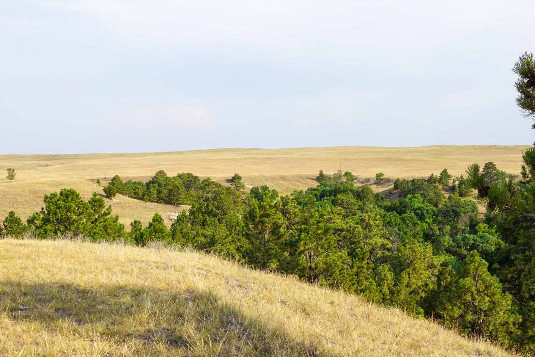 Niobrara River Irrigation & Grass Ranch property picture 36 of 70