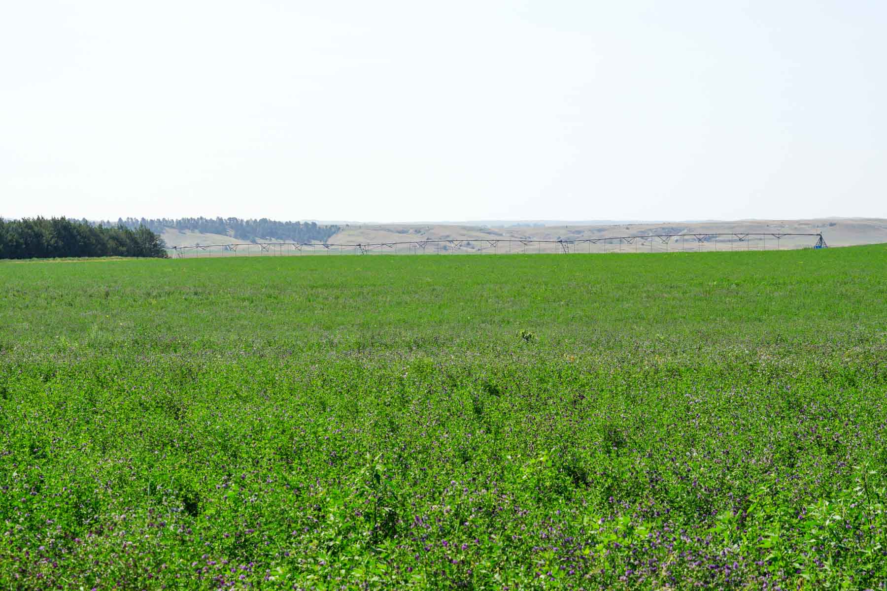 Niobrara River Irrigation & Grass Ranch property picture 28 of 70