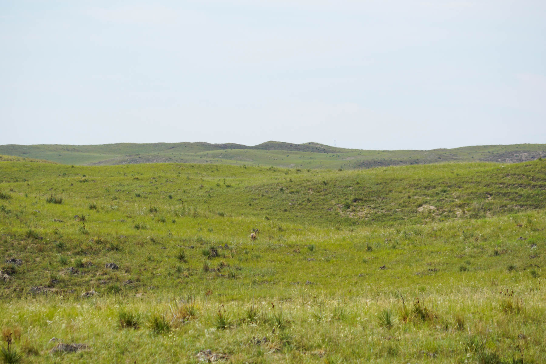 Niobrara River Irrigation & Grass Ranch property picture 44 of 70