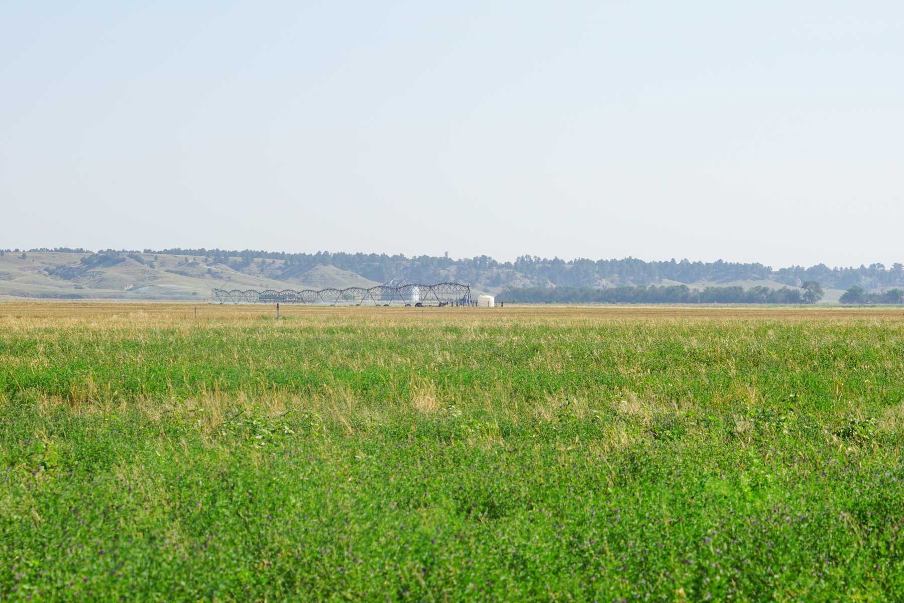 Niobrara River Irrigation & Grass Ranch property picture 23 of 70