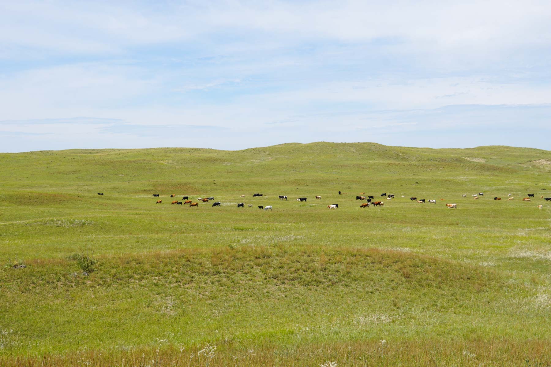Niobrara River Irrigation & Grass Ranch property picture 46 of 70
