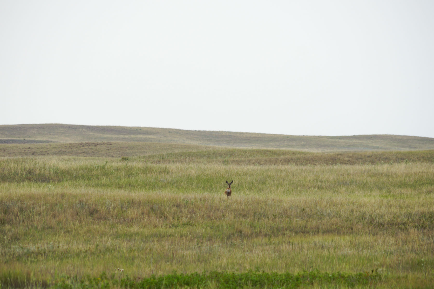 Niobrara River Irrigation & Grass Ranch property picture 34 of 70