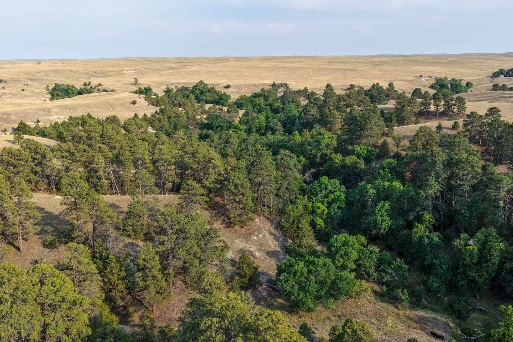 Niobrara River Irrigation & Grass Ranch property picture 14 of 70