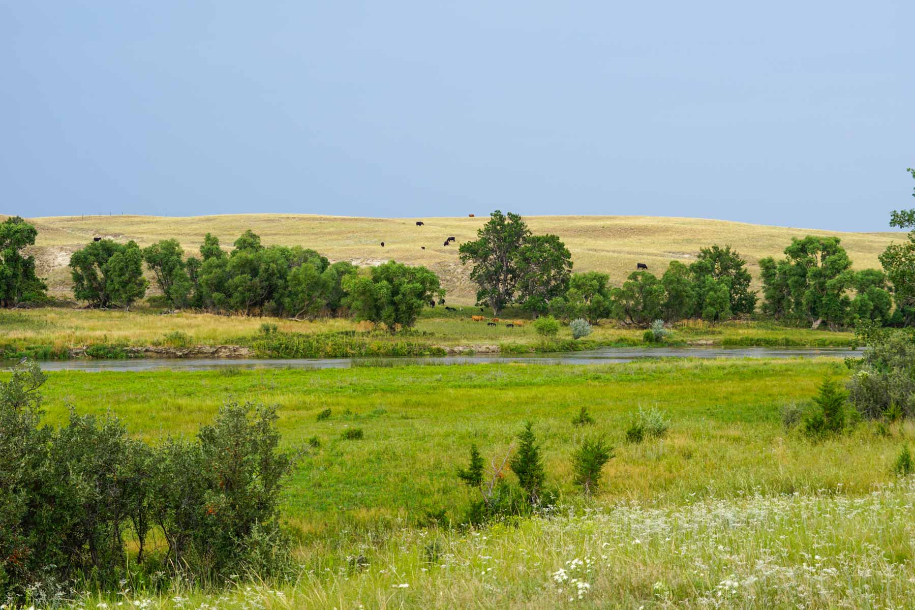 Niobrara River Irrigation & Grass Ranch property picture 4 of 70