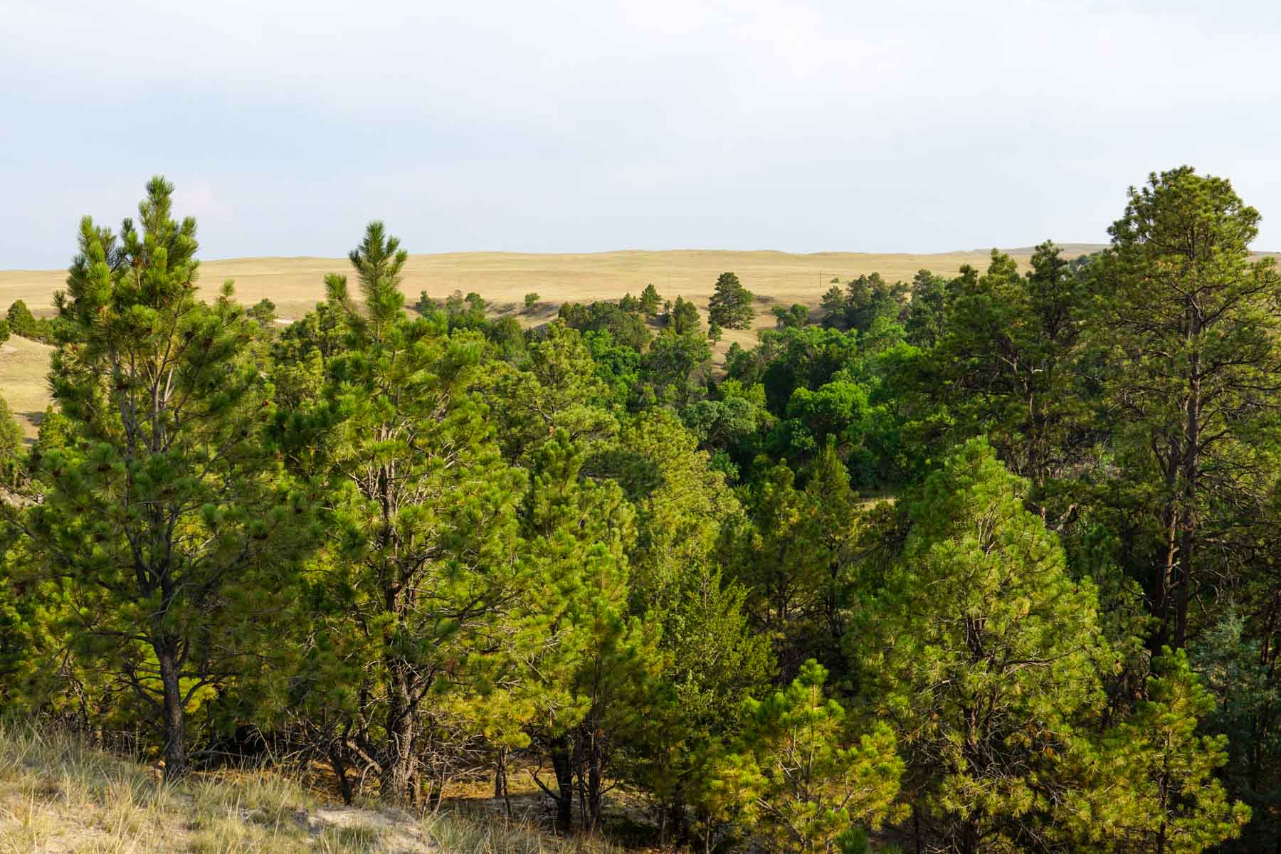 Niobrara River Irrigation & Grass Ranch property picture 37 of 70