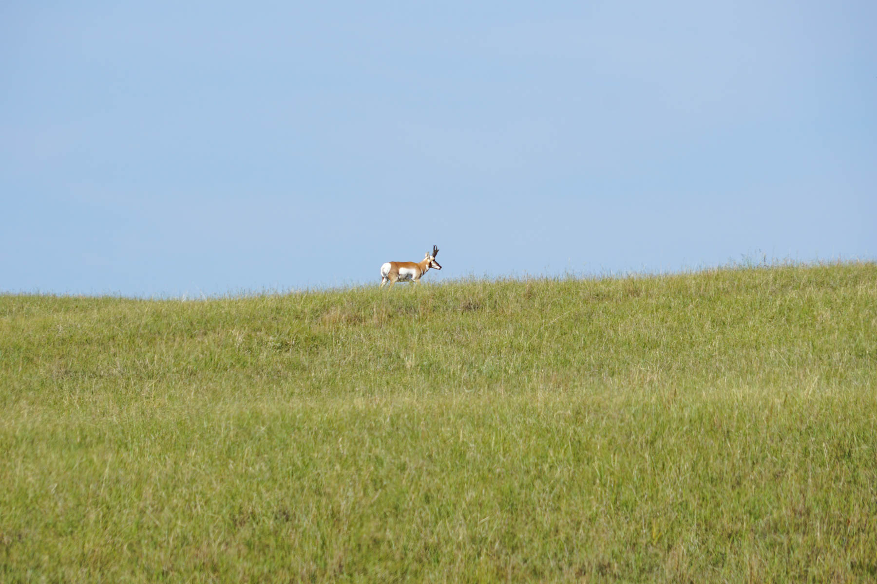 Niobrara River Irrigation & Grass Ranch property picture 31 of 70