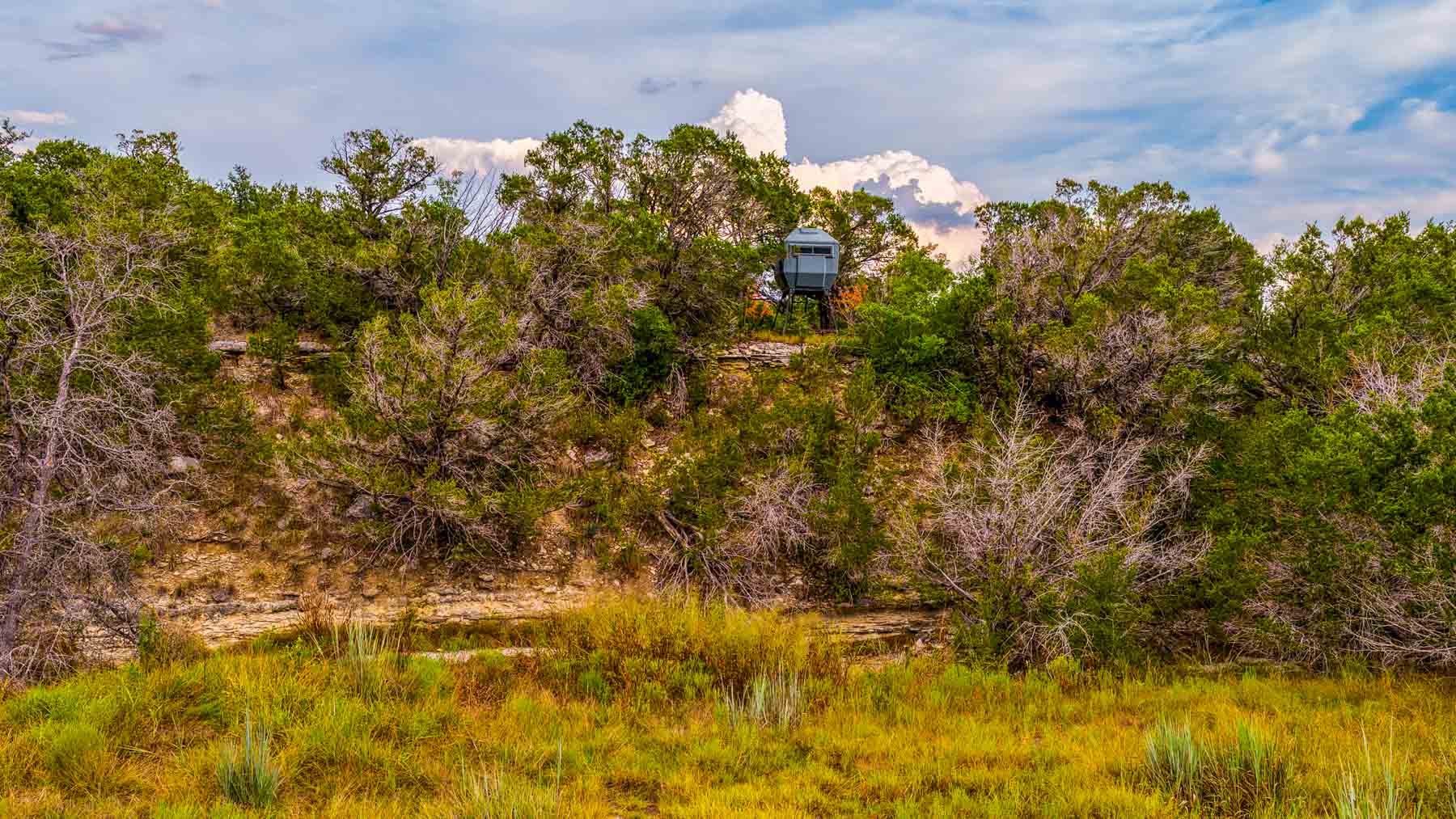 Cowhouse Creek Ranch property picture 42 of 75