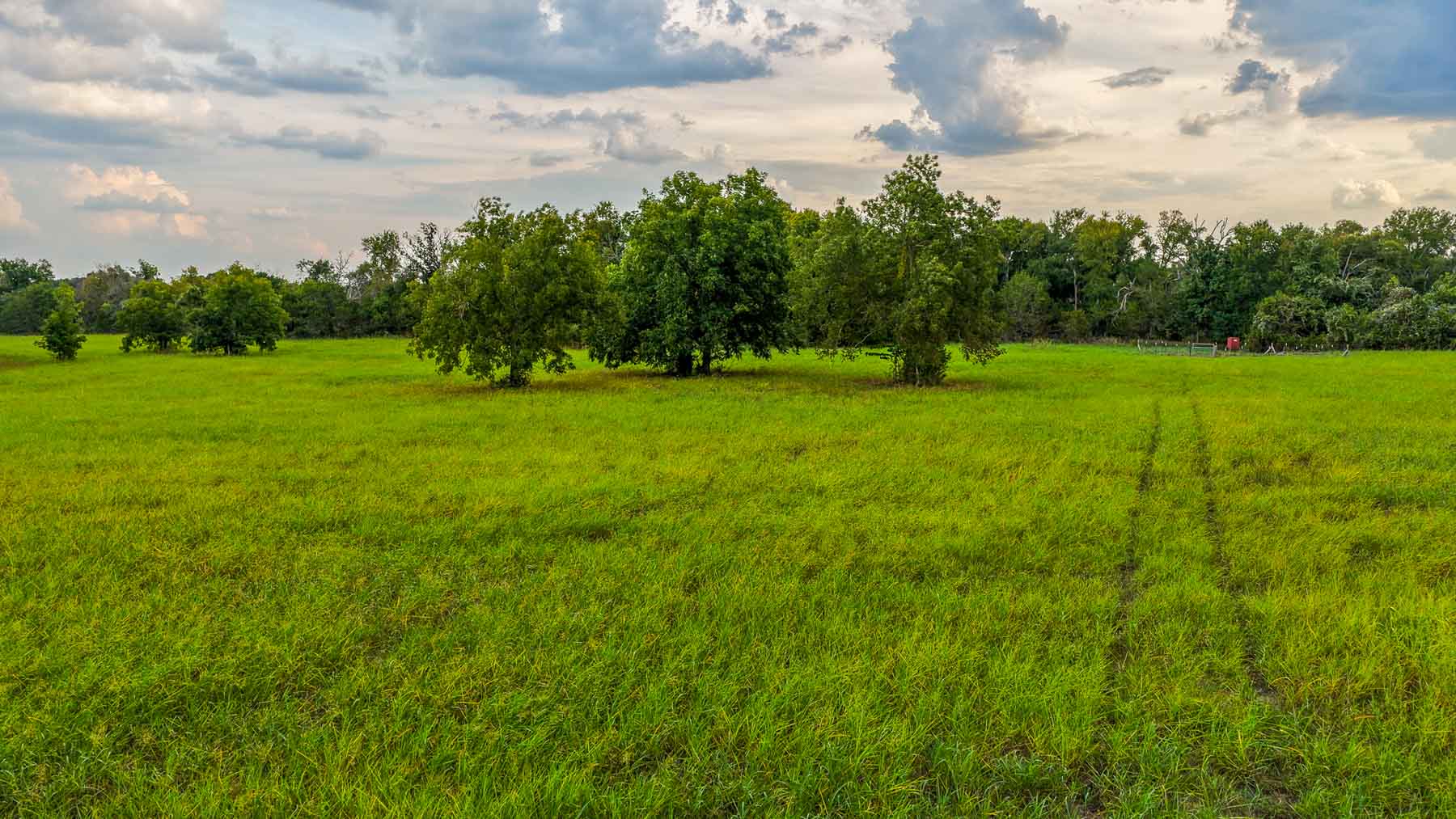 Cowhouse Creek Ranch property picture 4 of 75