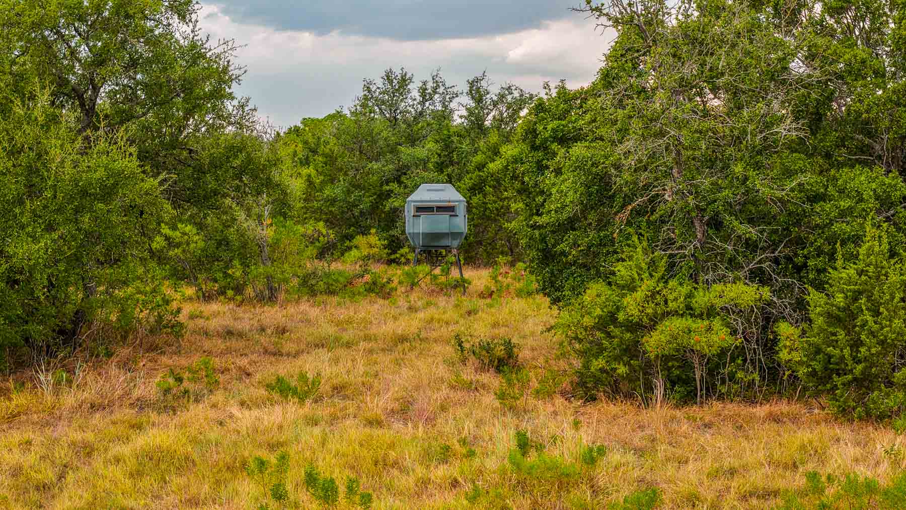 Cowhouse Creek Ranch property picture 41 of 75