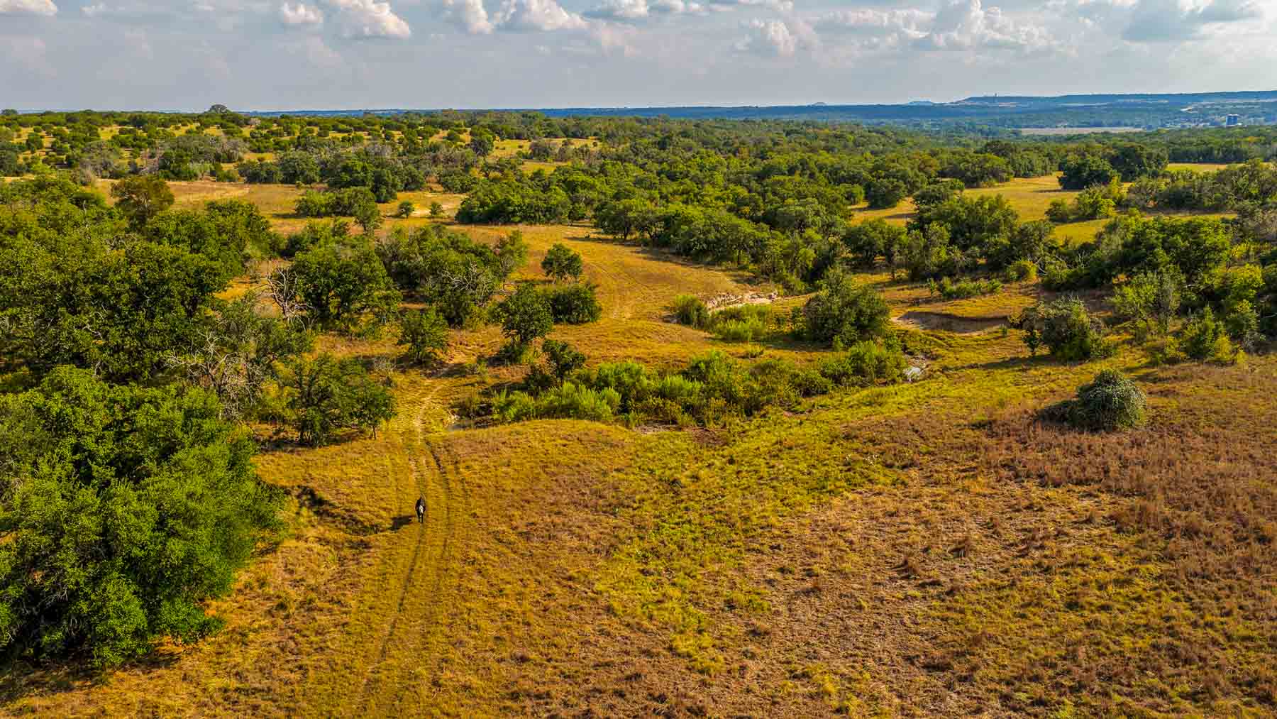 Cowhouse Creek Ranch property picture 26 of 75