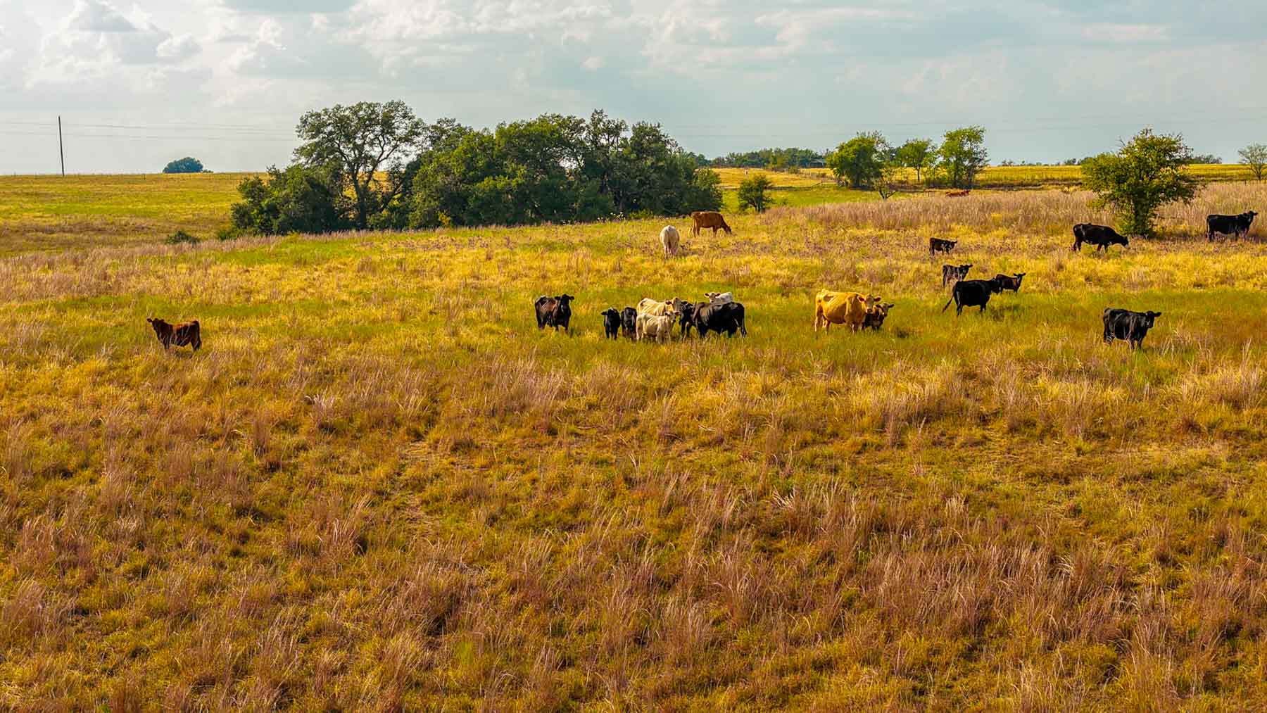 Cowhouse Creek Ranch property picture 75 of 75