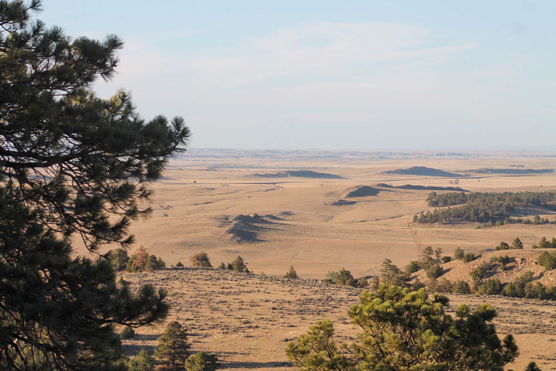 M Spear Ranch property picture 60 of 92