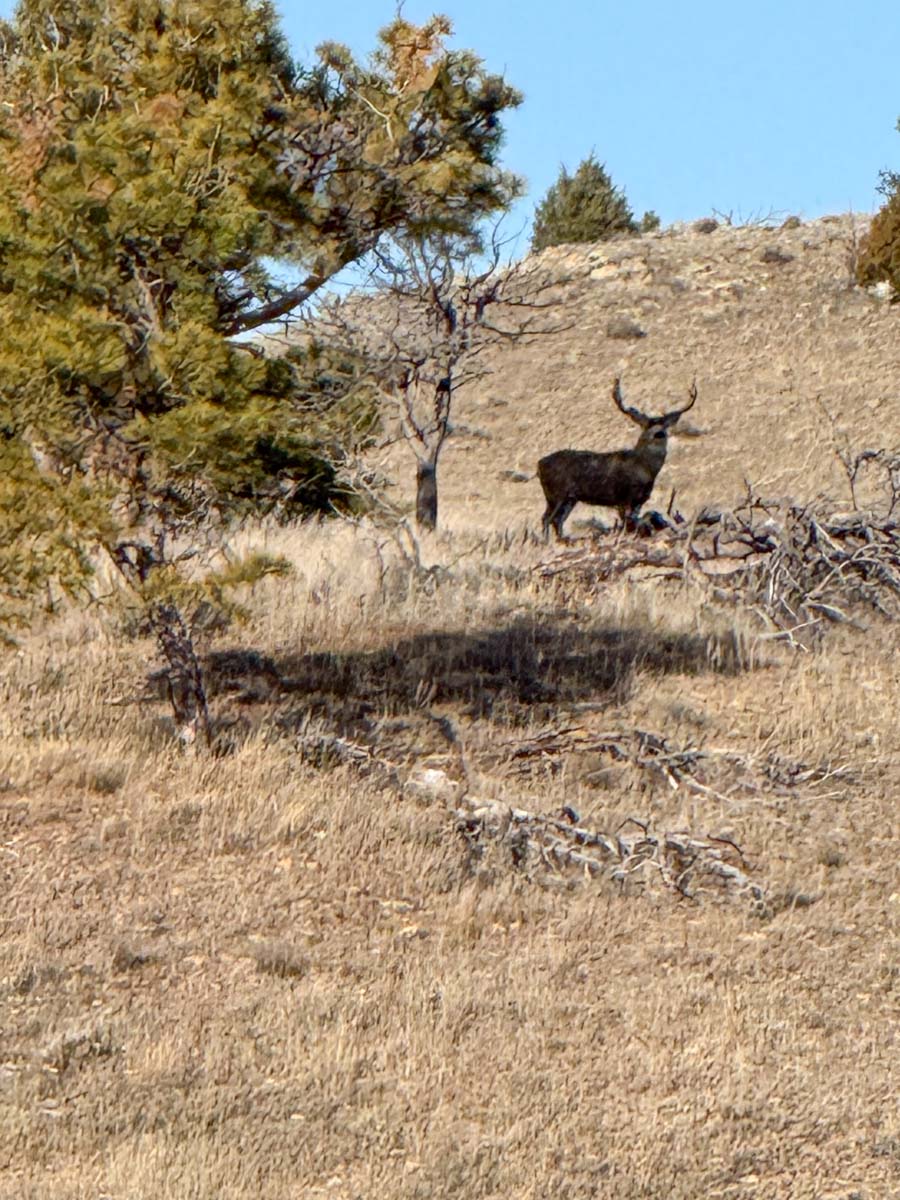 M Spear Ranch property picture 69 of 92