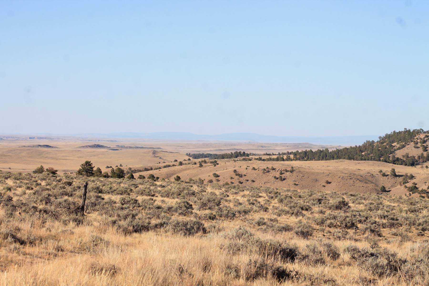 M Spear Ranch property picture 5 of 92
