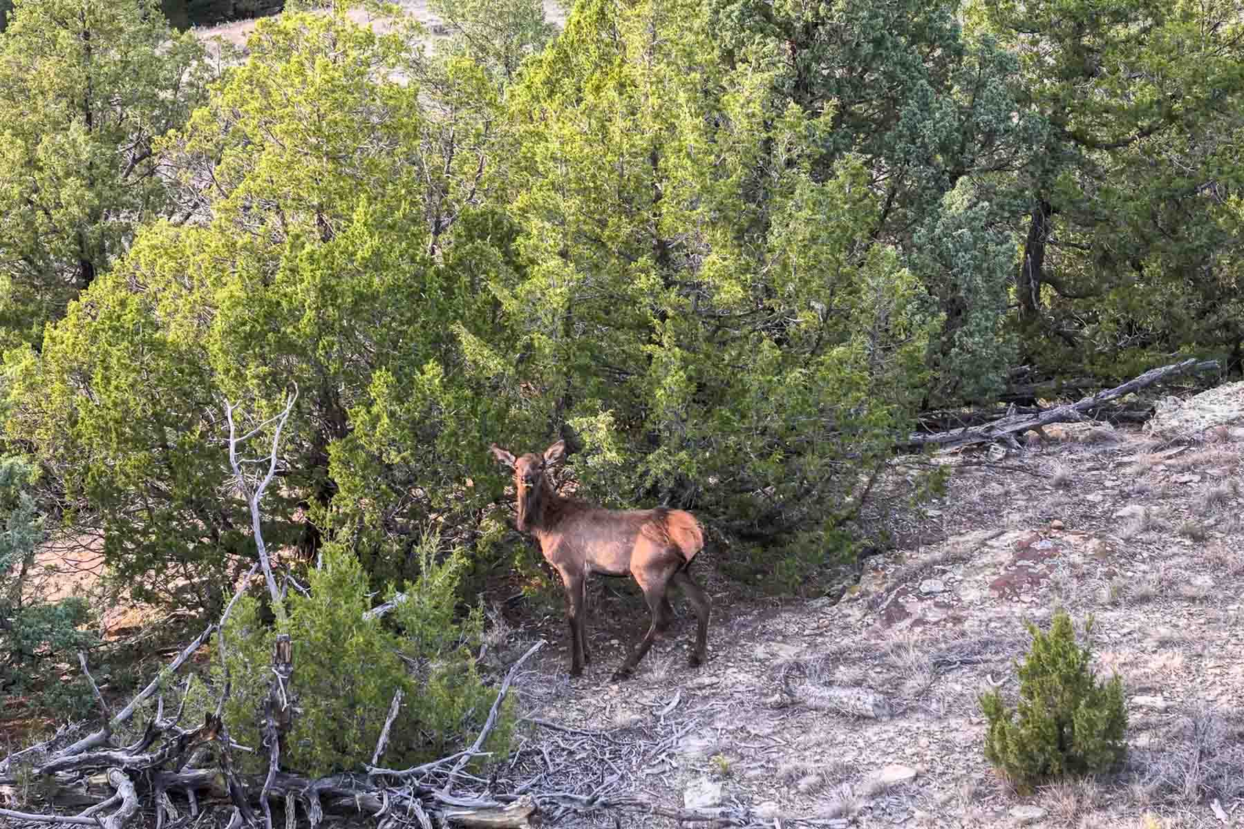 M Spear Ranch property picture 39 of 92