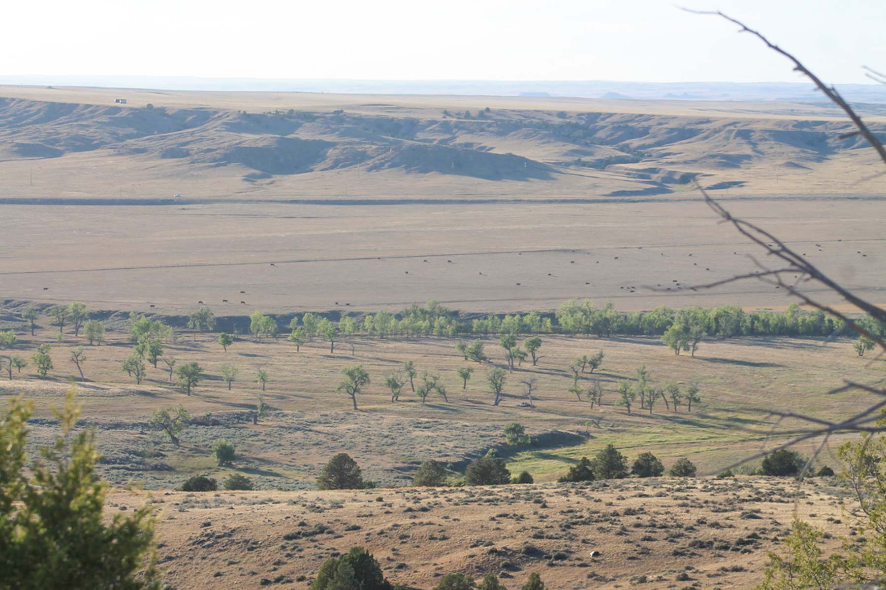 M Spear Ranch property picture 45 of 92