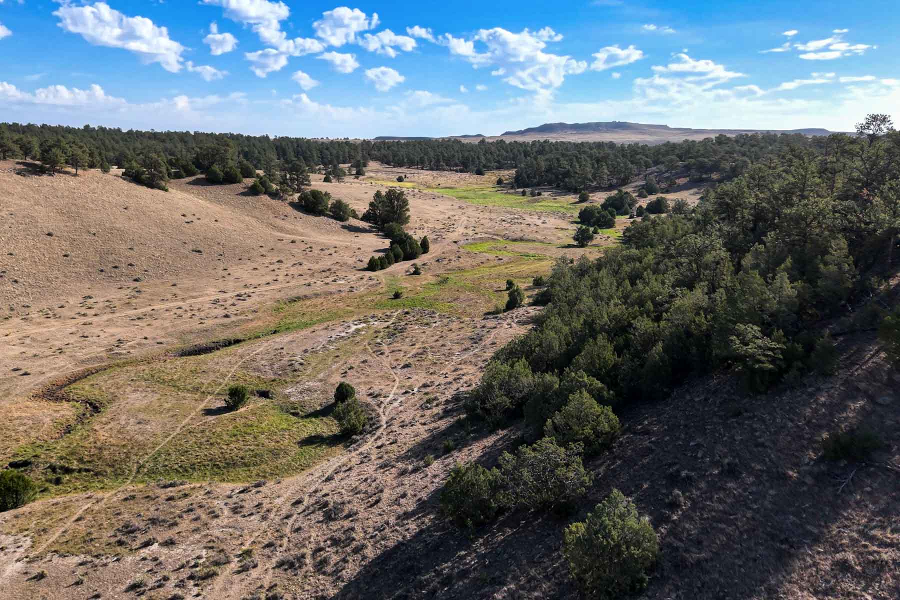 M Spear Ranch property picture 43 of 92