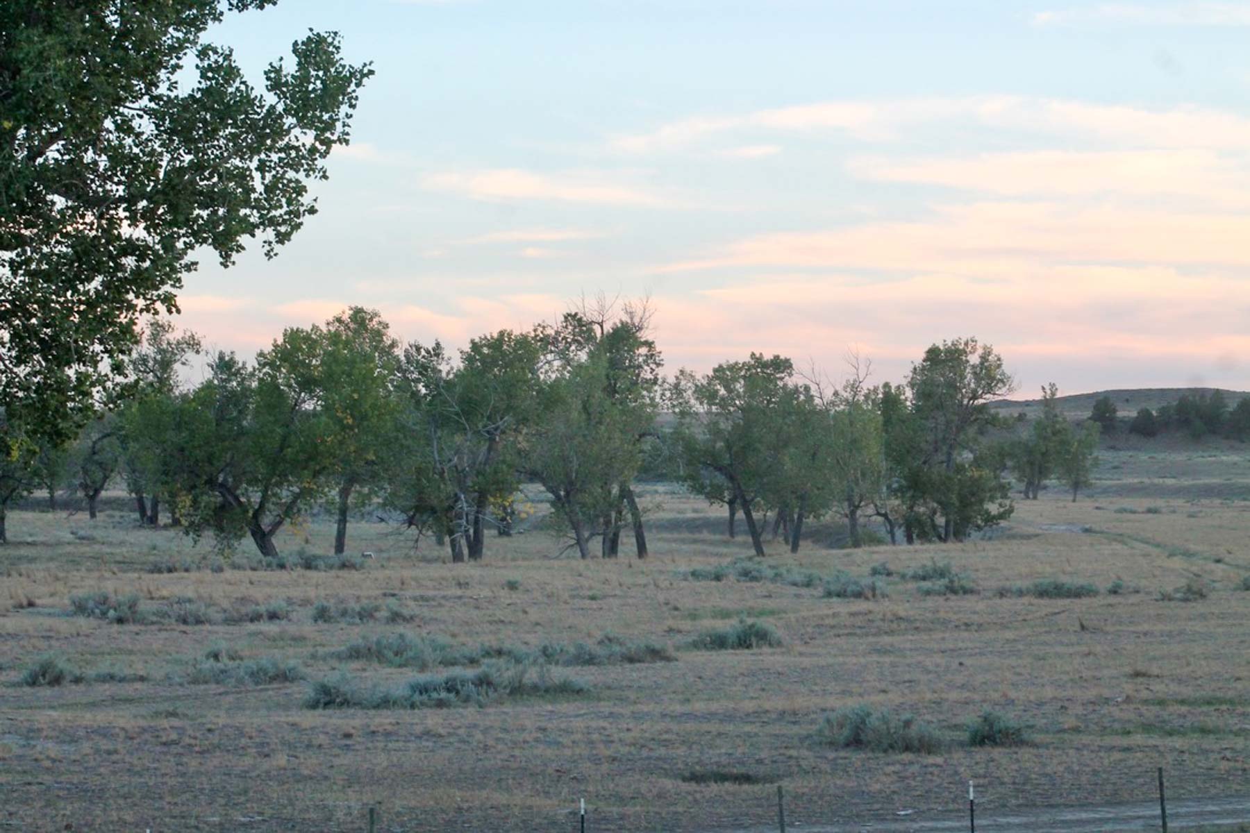 M Spear Ranch property picture 65 of 92