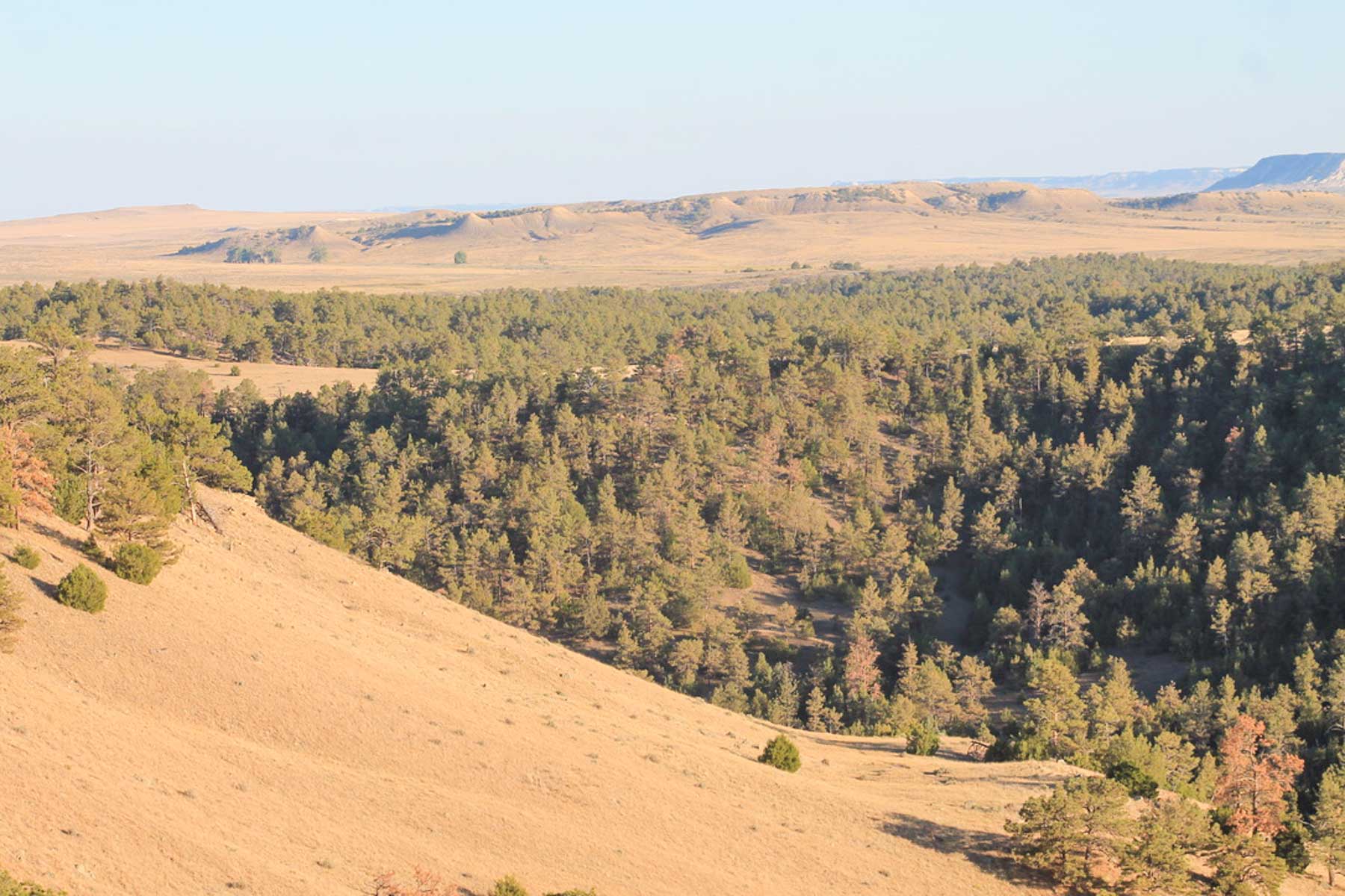 M Spear Ranch property picture 18 of 92