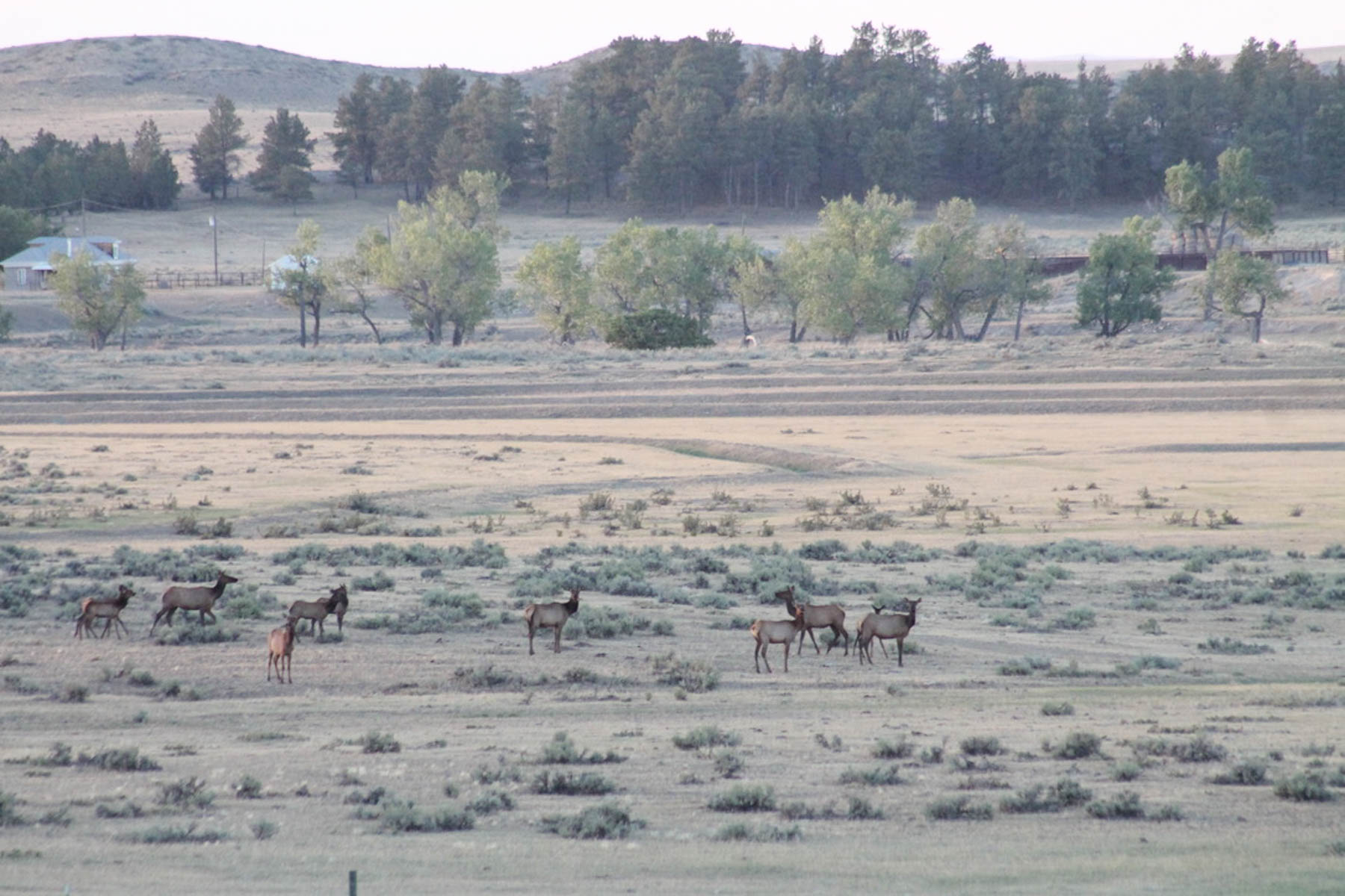 M Spear Ranch property picture 56 of 92
