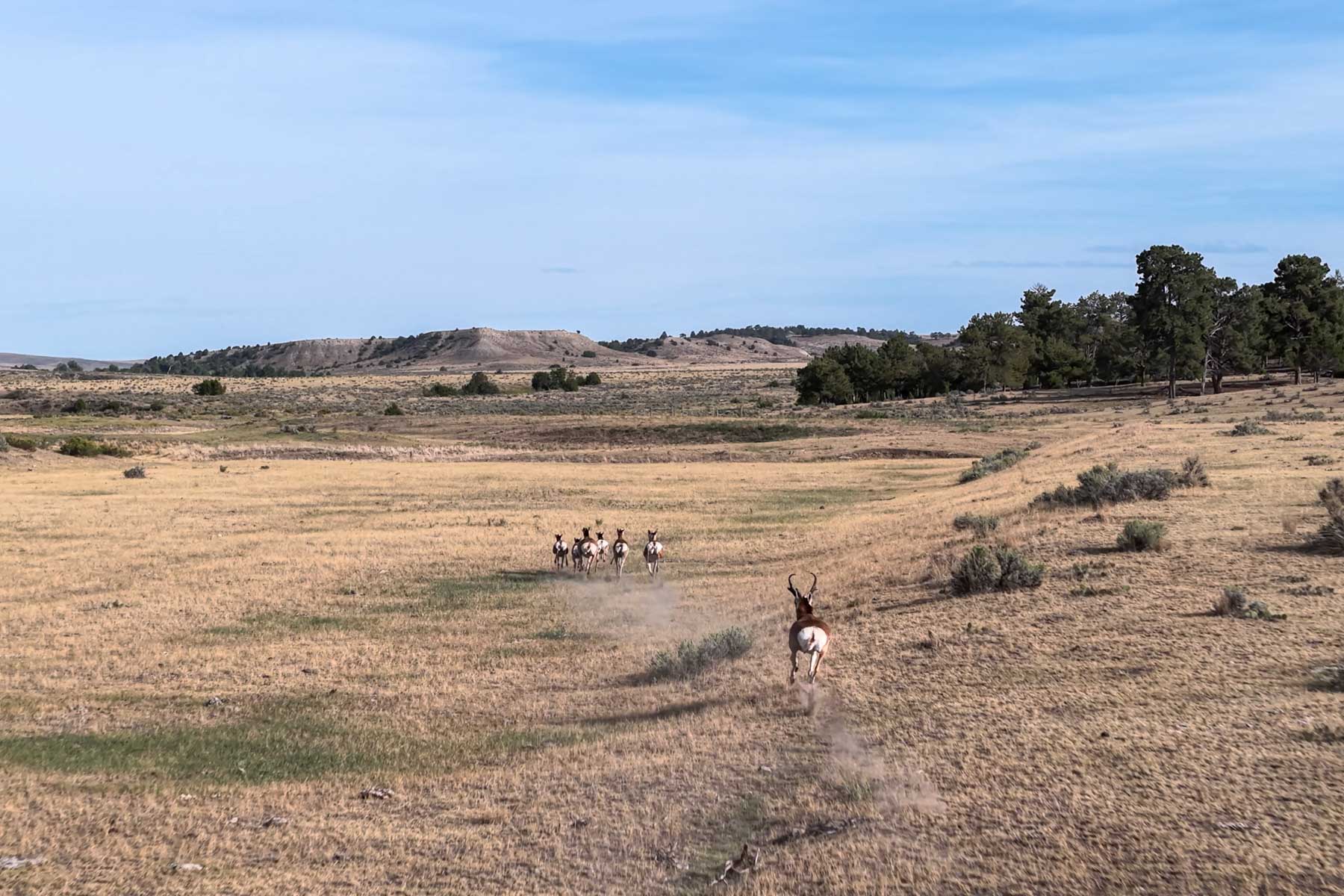 M Spear Ranch property picture 47 of 92