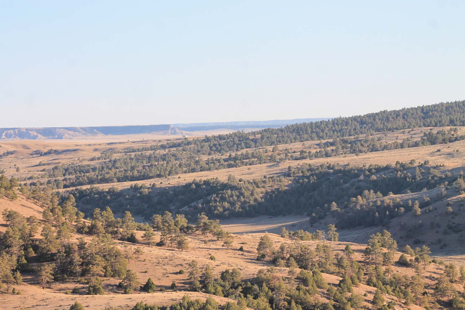 M Spear Ranch property picture 16 of 92